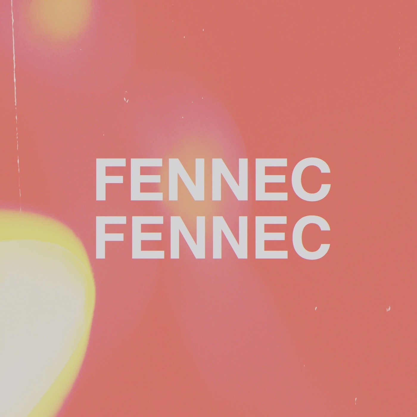 FENNEC FENNEC – Another Day [FLAC + MP3 320 / WEB] [2019.01.25]