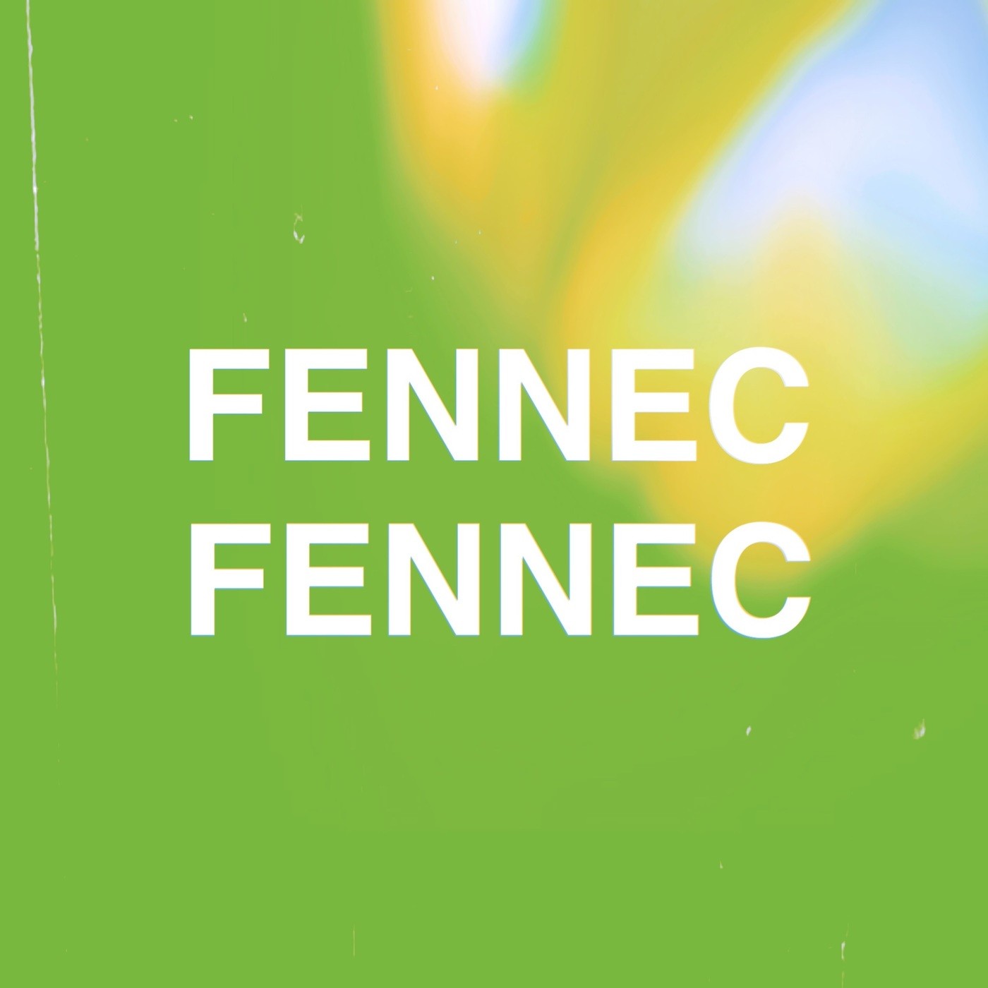 FENNEC FENNEC – Try Me Try Me [FLAC + MP3 320 / WEB] [2019.03.18]