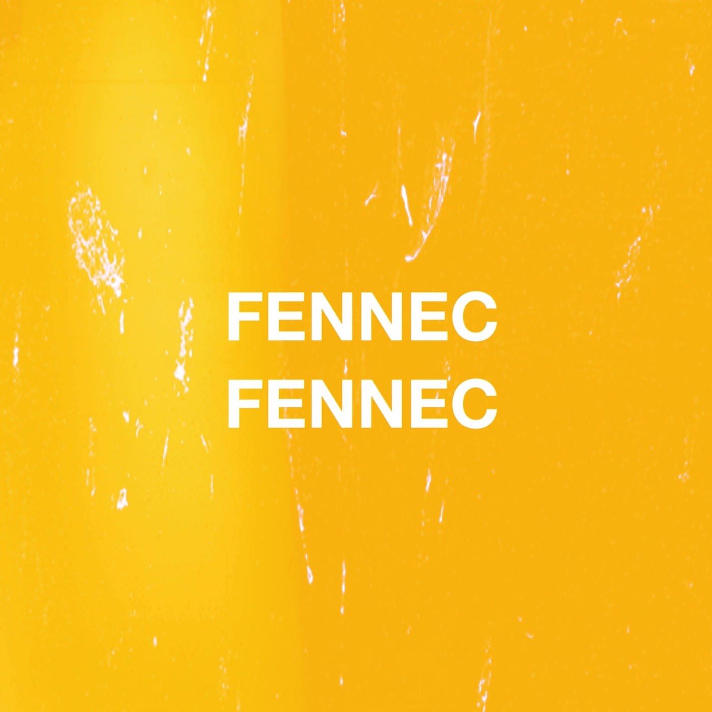 FENNEC FENNEC – Tsugi No Corner [FLAC + MP3 320 / WEB] [2019.01.07]