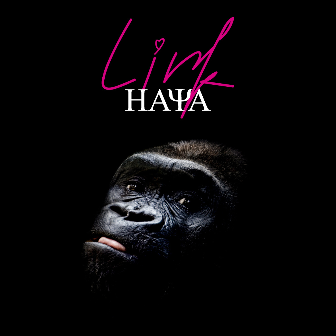HAYA樂團 – LINK (2019) [FLAC 24bit/48kHz]