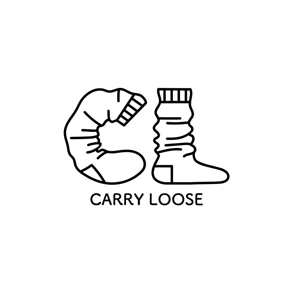 CARRY LOOSE – CARRY LOOSE [FLAC / WEB] [2019.10.22]