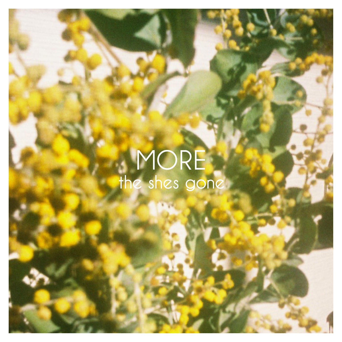 the shes gone – MORE [FLAC + MP3 320 / WEB] [2019.11.06]