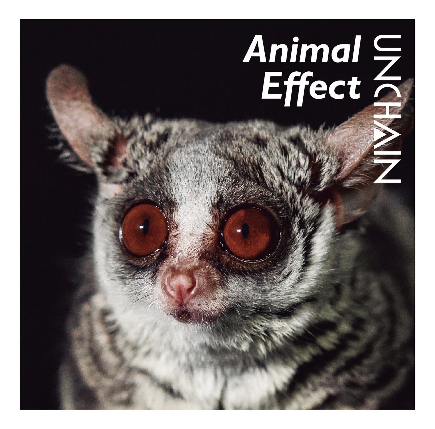 UNCHAIN – Animal Effect [FLAC / WEB] [2021.03.31]