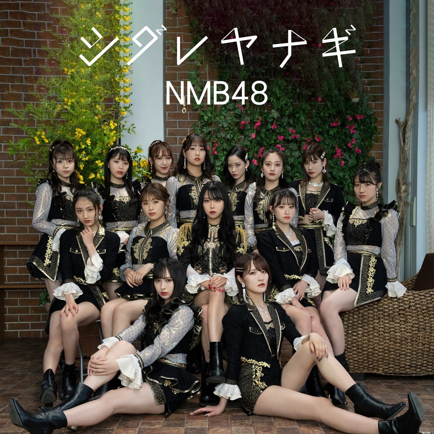 NMB48 – シダレヤナギ (Special Edition) [FLAC + MP3 320 / WEB] [2021.06.16]