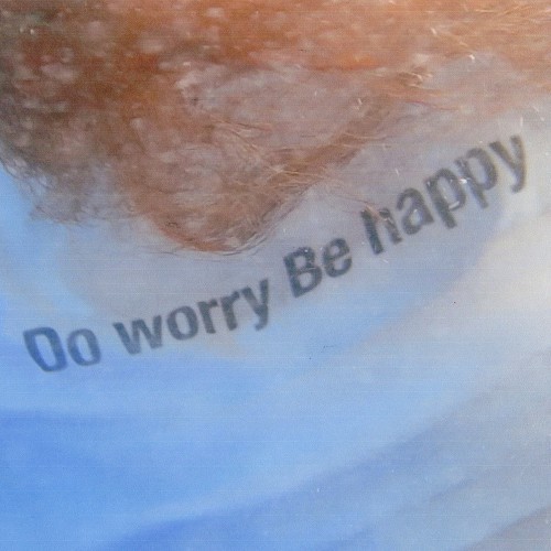 Primary (프라이머리) - Do worry Be happy (2018) [FLAC 24bit/48kHz]