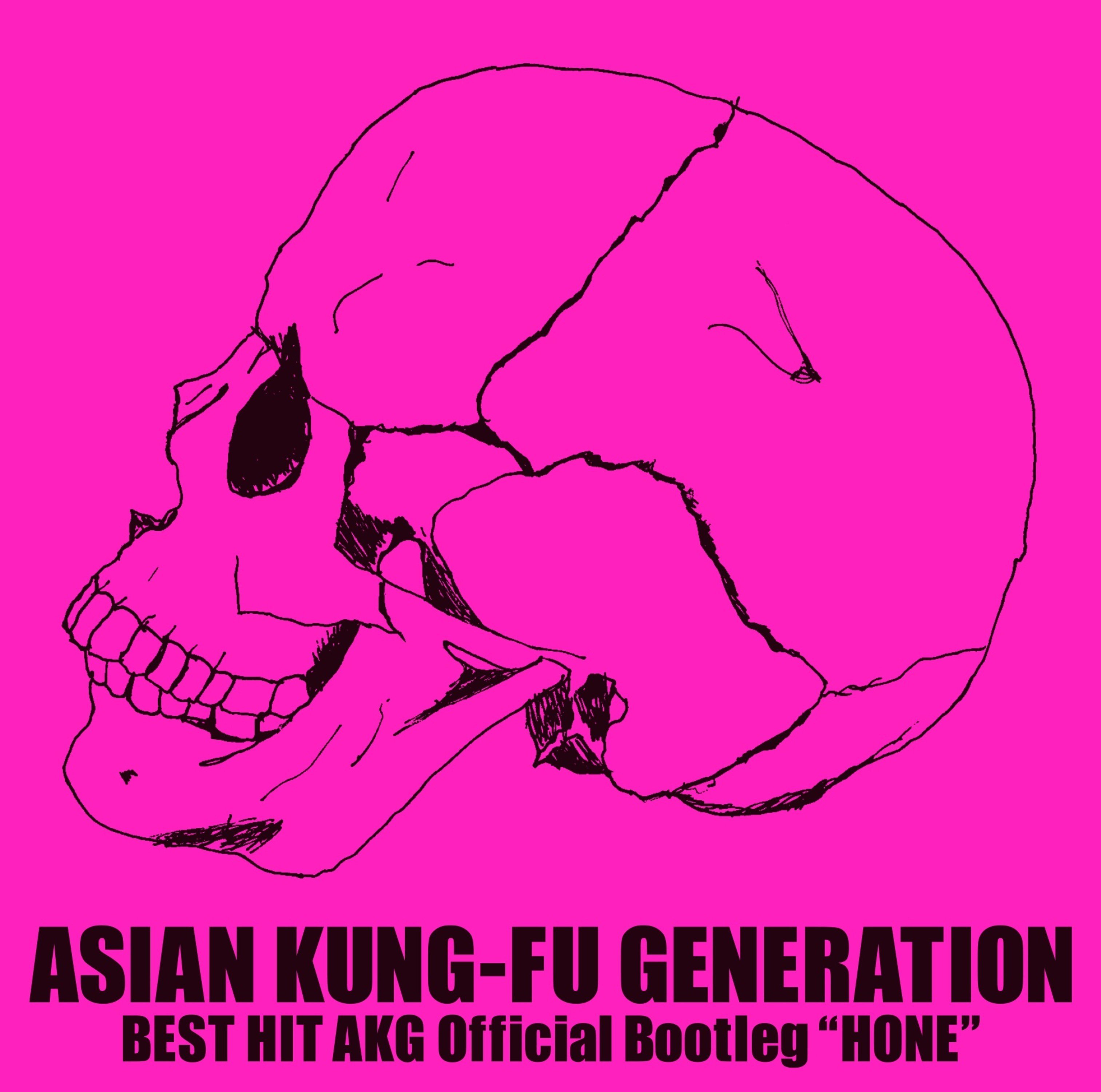 ASIAN KUNG-FU GENERATION - BEST HIT AKG Official Bootleg “HONE” [FLAC 24bit/96kHz]