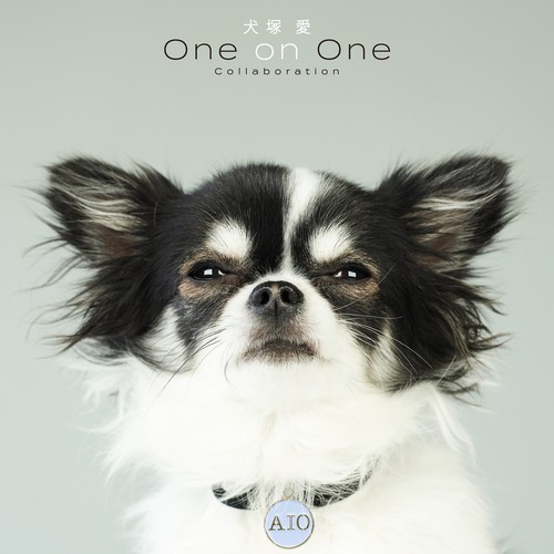 大塚愛 (Ai Otsuka) - 犬塚愛 One on One Collaboration [FLAC 24bit/48kHz]