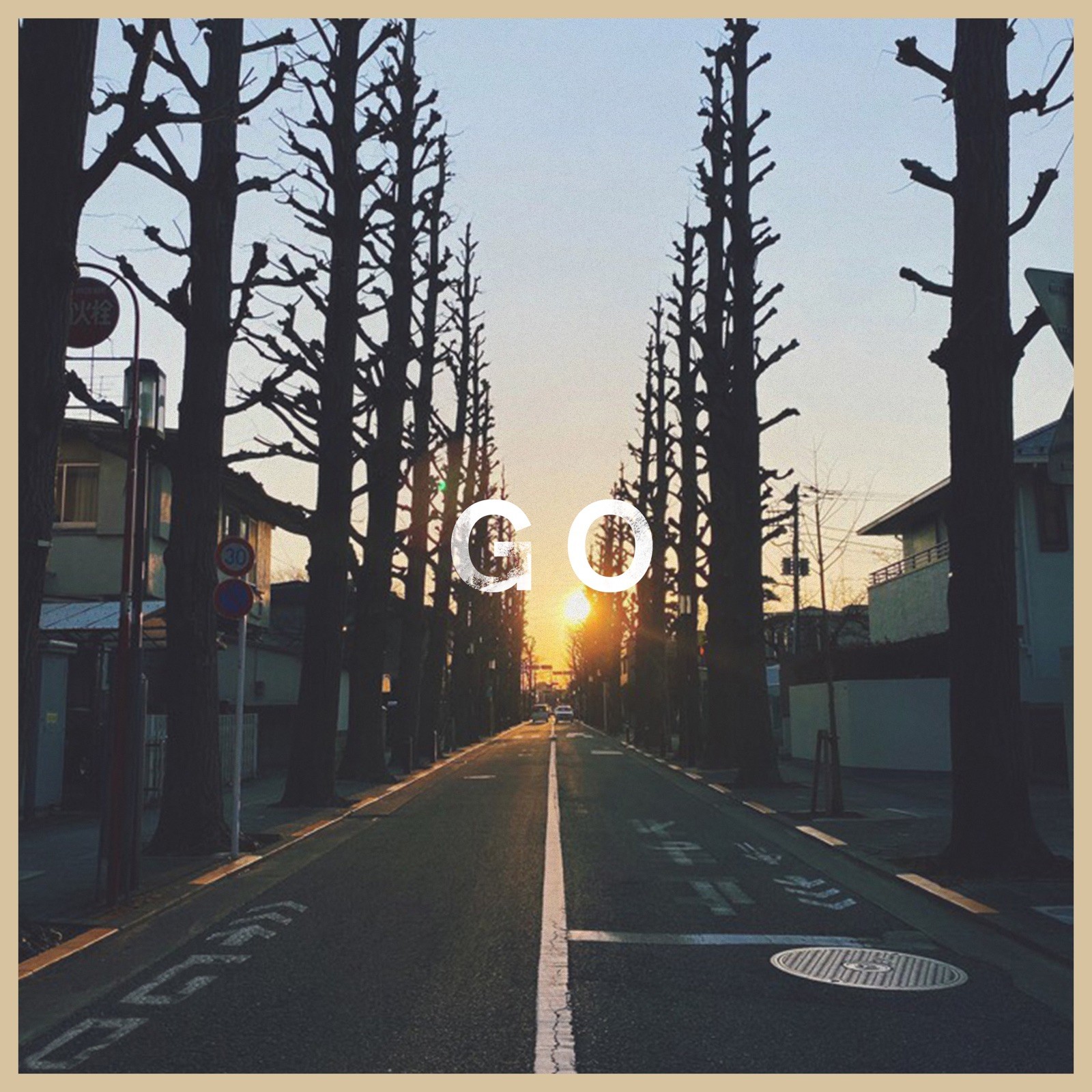 大塚愛 (Ai Otsuka) - Go [FLAC 24bit/48kHz]