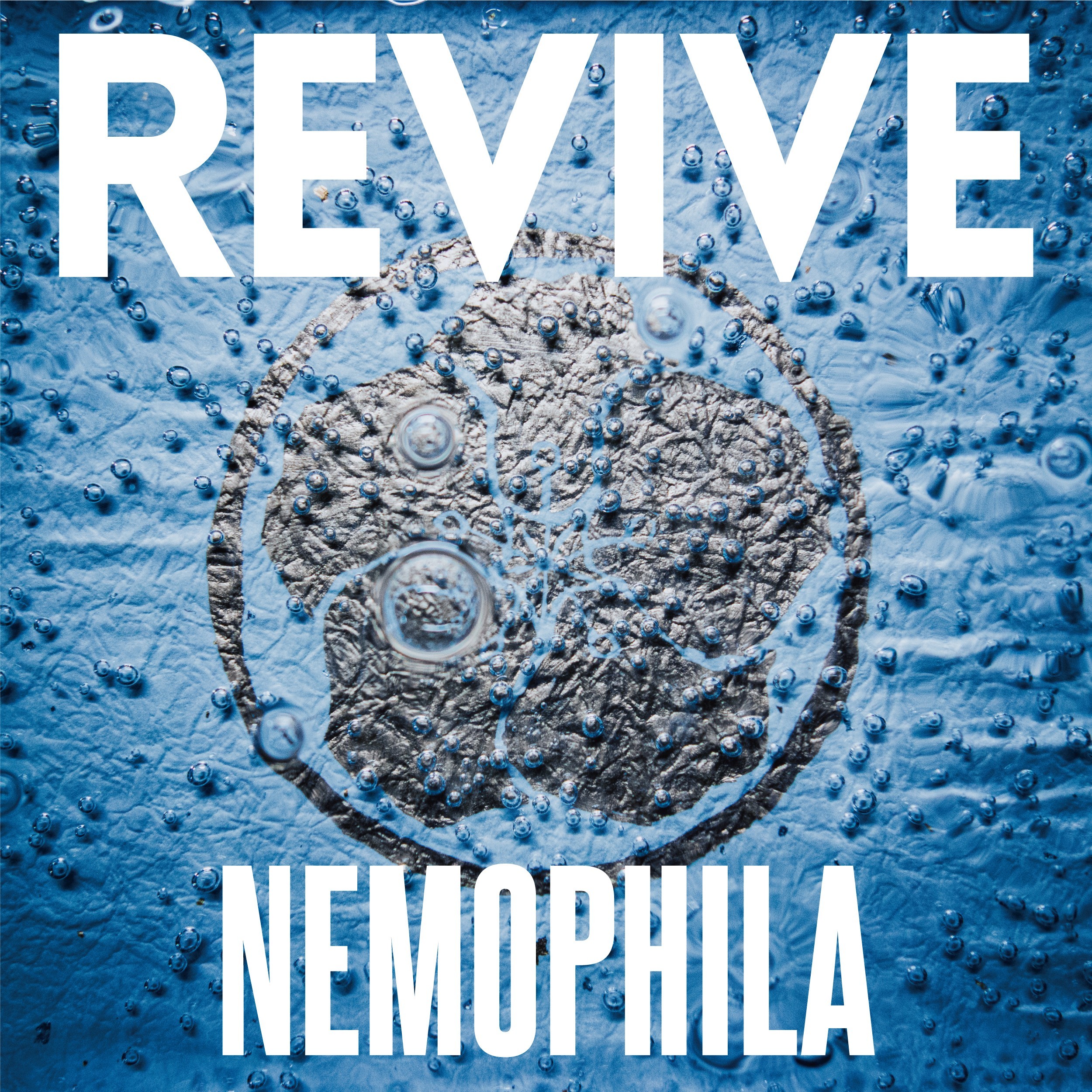 NEMOPHILA – REVIVE [24bit Lossless + MP3 320 / WEB] [2021.12.15]