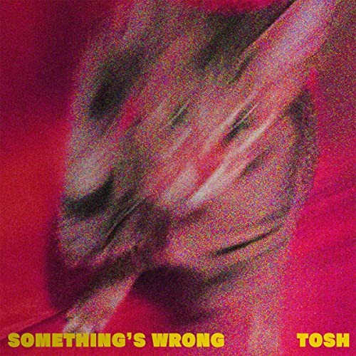 [Single] TOSH – Something’s Wrong [FLAC / WEB] [2022.12.21]