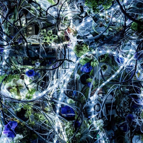 Aimer – ninelie EP (2016) [FLAC, 24 bits, 96 KHz]