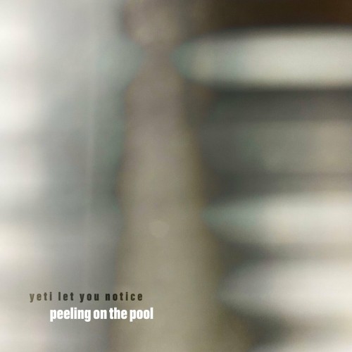 [Album] yeti let you notice – peeling on the pool [FLAC / 24bit Lossless / WEB] [2023.08.09]