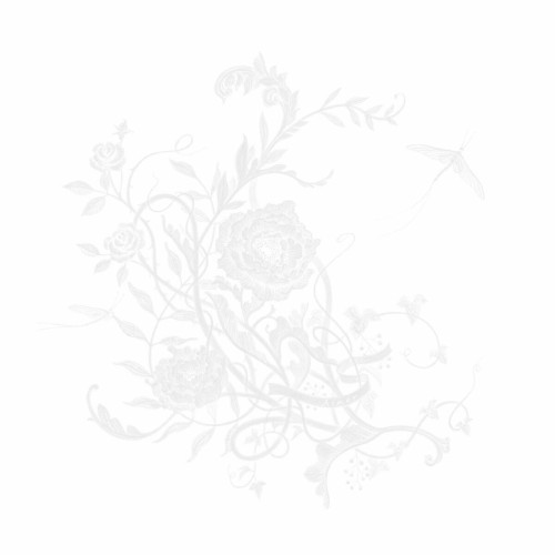 [Single] Aimer – 白色蜉蝣 [FLAC / 24bit Lossless / WEB] [2023.12.06]