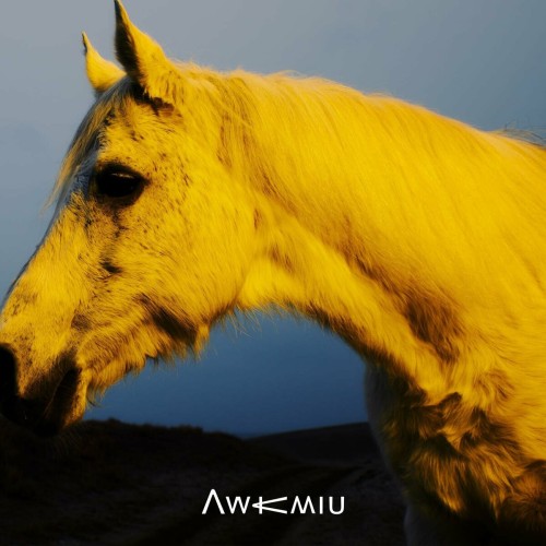 [Single] Awkmiu – 楽園はいらない (2024.02.21/MP3+Flac/RAR)