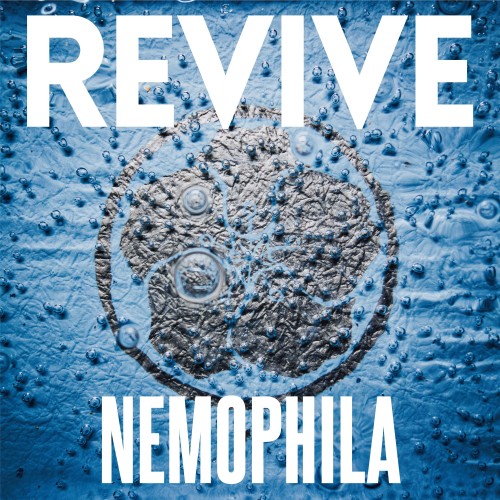 NEMOPHILA – REVIVE (2021) [FLAC, 24 bits, 48 KHz]