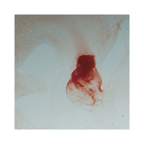 [Album] AGATHA – AGATHA [FLAC / 24bit Lossless / WEB] [2024.07.10]
