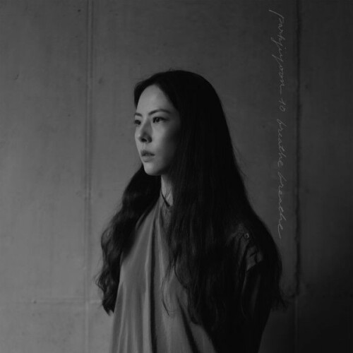 409147.jpg