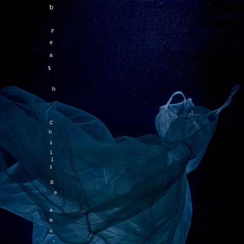 Chilli Beans. – breath [FLAC / 24bit Lossless / WEB] [2026.05.27]
