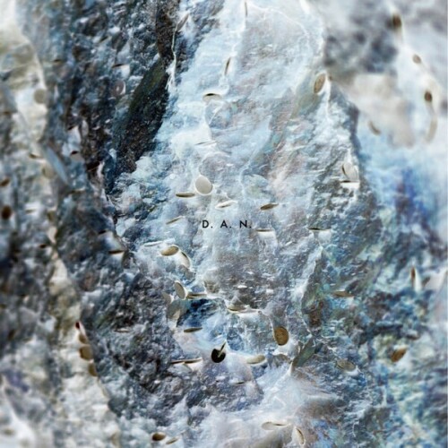 D.A.N. - The Unknown [2026.06.24]