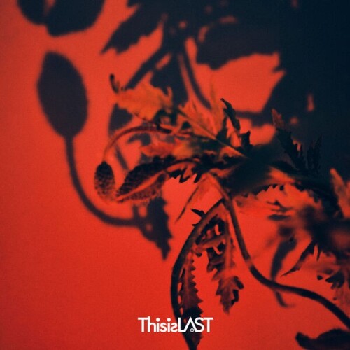 This is LAST - DressCode [2026.06.19]