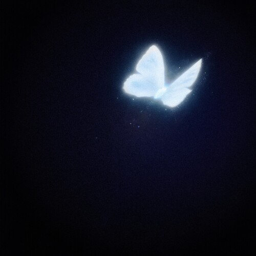 チョーキューメイ (ChoQMay) – Firetail [FLAC / WEB] [2026.07.01]