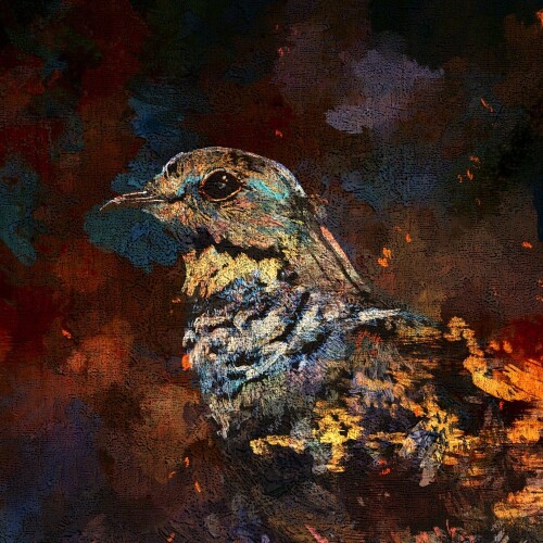 米津玄師 (Kenshi Yonezu) – 夜鷹 (Yodaka) [FLAC / 24bit Lossless / WEB] [2026.07.13]
