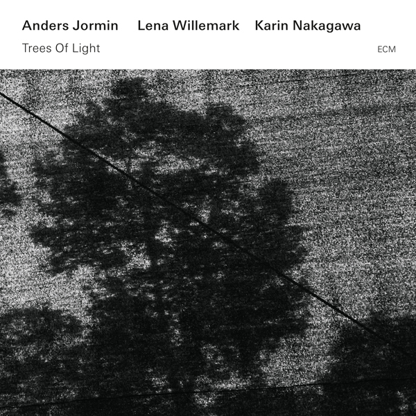 Anders Jormin, Lena Willemark, Karin Nakagawa - Trees Of Light (2015) [Qobuz FLAC 24bit/44,1kHz]