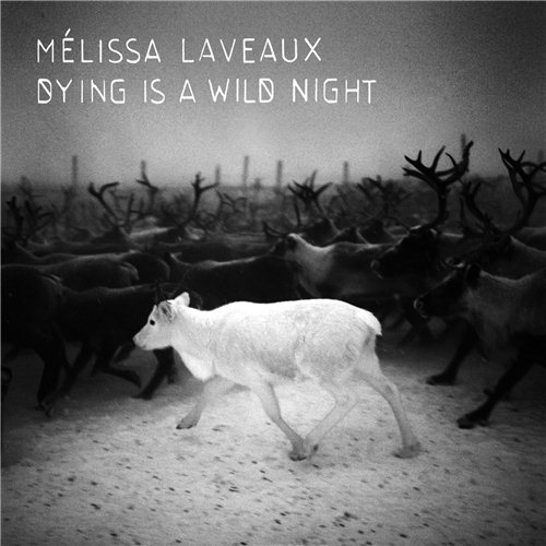 Melissa Laveaux – Dying Is A Wild Night (2013) [Qobuz FLAC 24bit/44.1kHz]