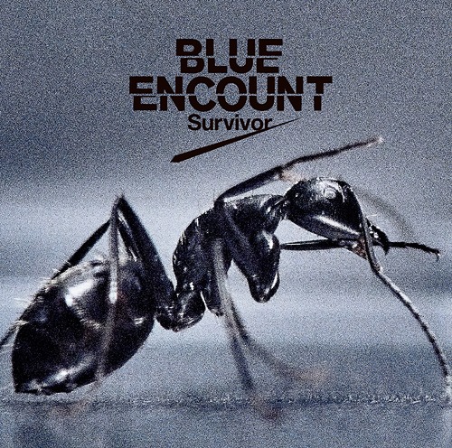 BLUE ENCOUNT – Survivor [Mora FLAC 24bit/96Khz]