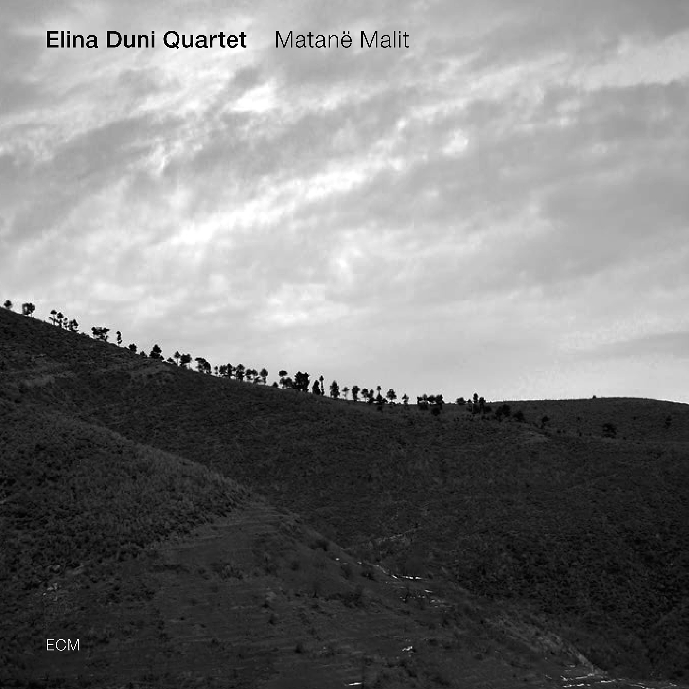 Elina Duni Quartet – Matane Malit (2012) [HDTracks FLAC 24bit/88,2kHz]