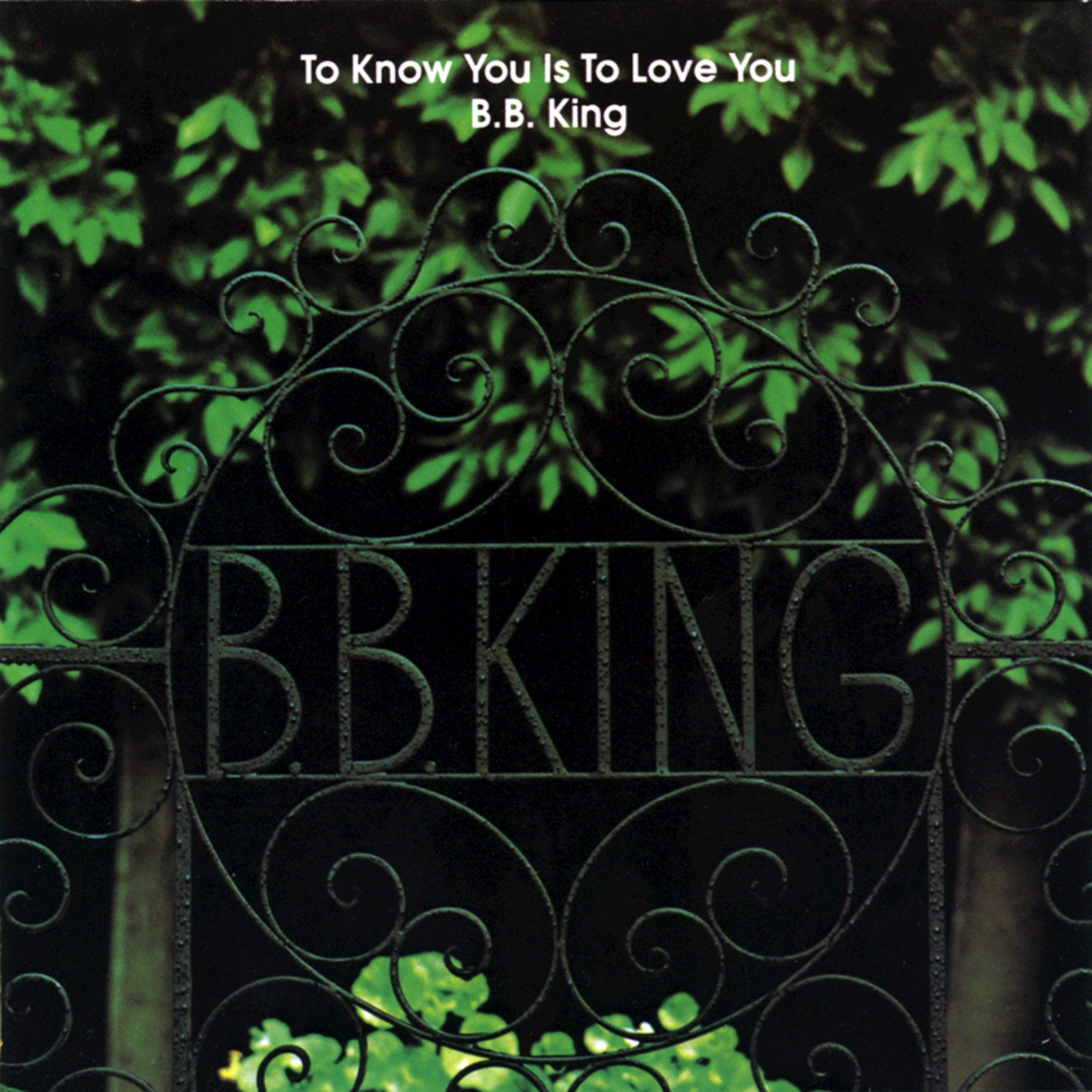 B.B. King – To Know You Is To Love You (1973/2015) [HDTracks FLAC 24bit/192kHz]