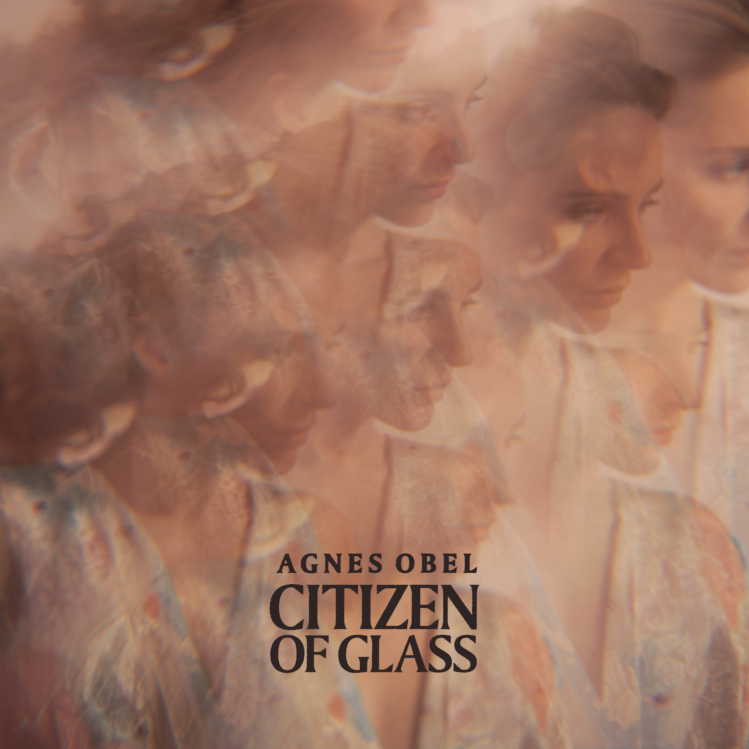 Agnes Obel - Citizen Of Glass (2016) [Qobuz FLAC 24bit/44,1kHz]
