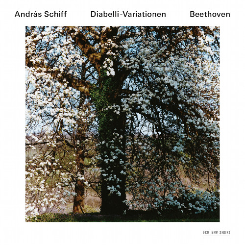 Andras Schiff - Beethoven: Diabelli-Variationen, Op. 120 (2013) [HDTracks FLAC 24bit/44,1kHz]