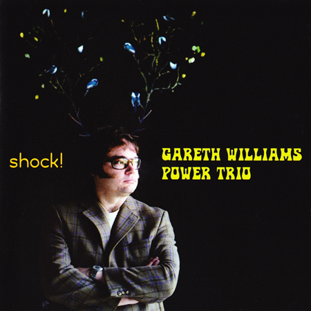 Gareth Williams Power Trio – Shock! (2009) {SACD ISO + FLAC 24bit/88,2kHz}