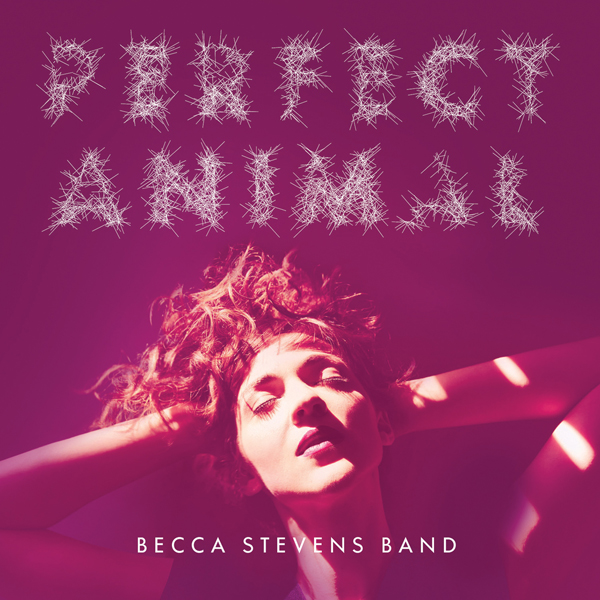 Becca Stevens Band - Perfect Animal (2015) [HDTracks FLAC 24bit/96kHz]