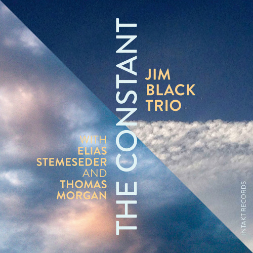 Jim Black Trio - The Constant (2016) [HDTracks FLAC 24bit/96kHz]