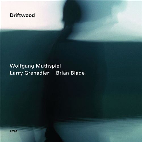 Wolfgang Muthspiel, Larry Grenadier, Brian Blade - Driftwood (2014) [HDTracks FLAC 24bit/96kHz]