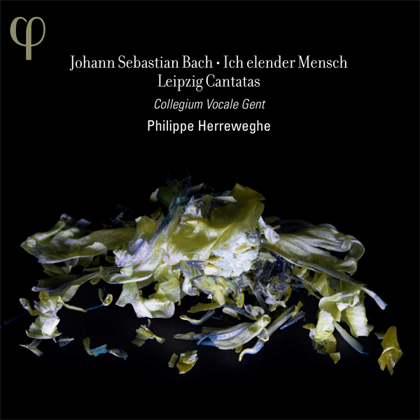 Johann Sebastian Bach - Ich elender Mensch: Leipzig Cantatas - Collegium Vocale Gent, Philippe Herreweghe (2014) [Qobuz FLAC 24bit/96kHz]