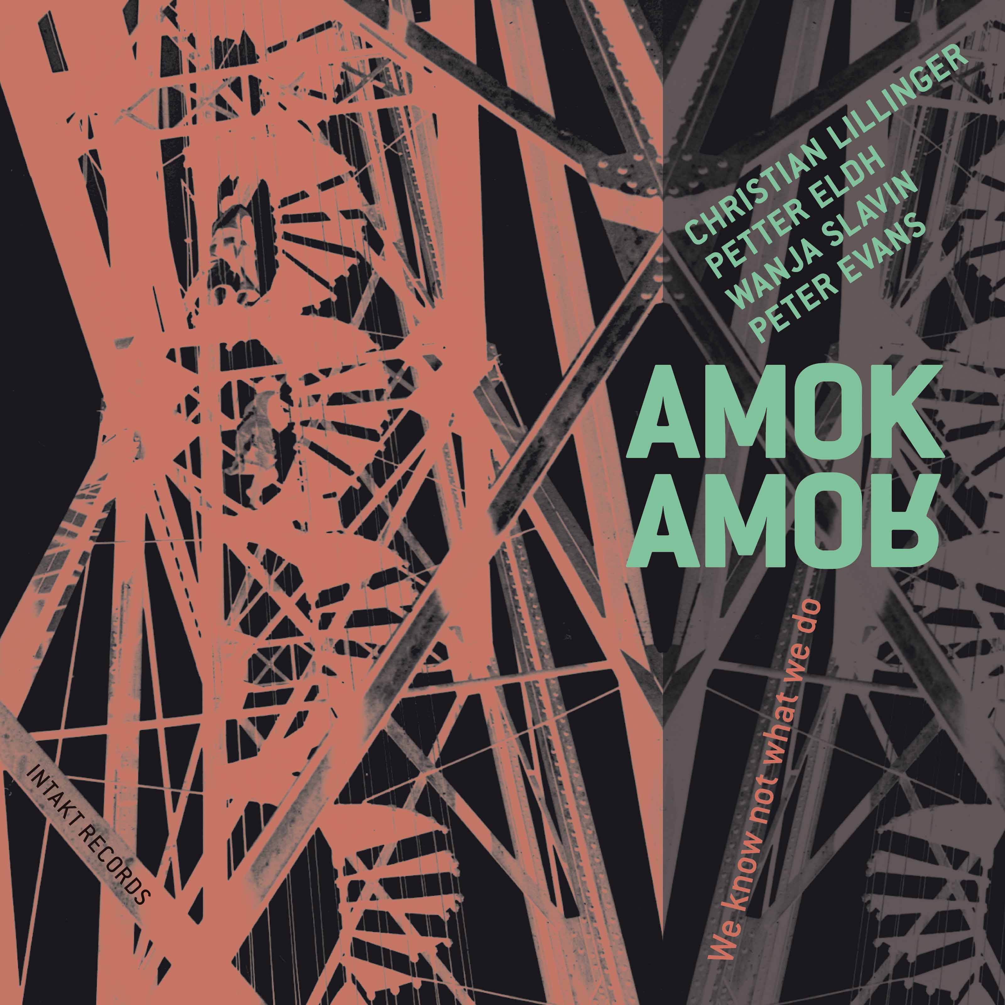 Amok Amor - We Know Not What We Do (2017) [HDTracks FLAC 24bit/44,1kHz]