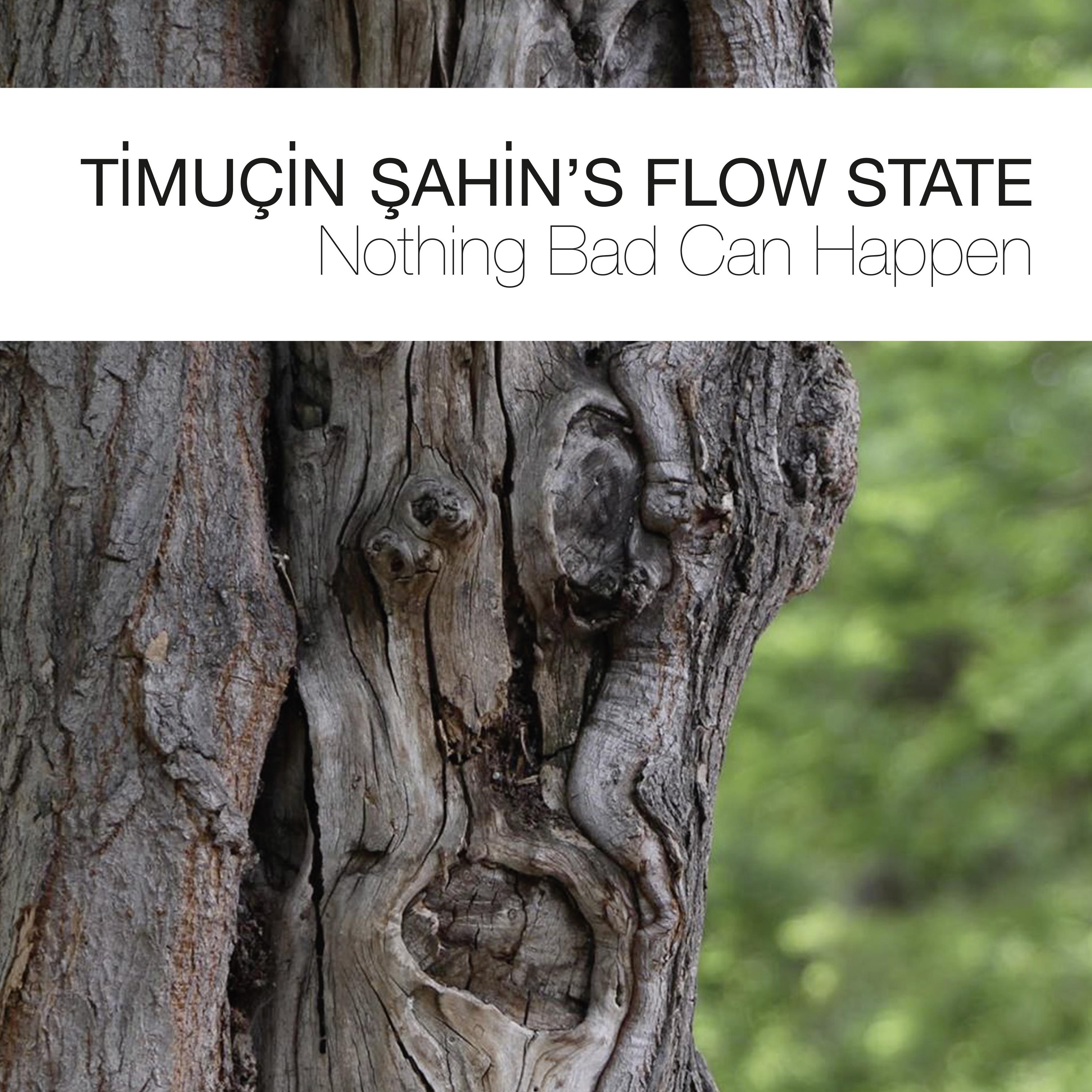 Timucin Sahin’s Flow State - Nothing Bad Can Happen (2017) [HDTracks FLAC 24bit/44,1kHz]