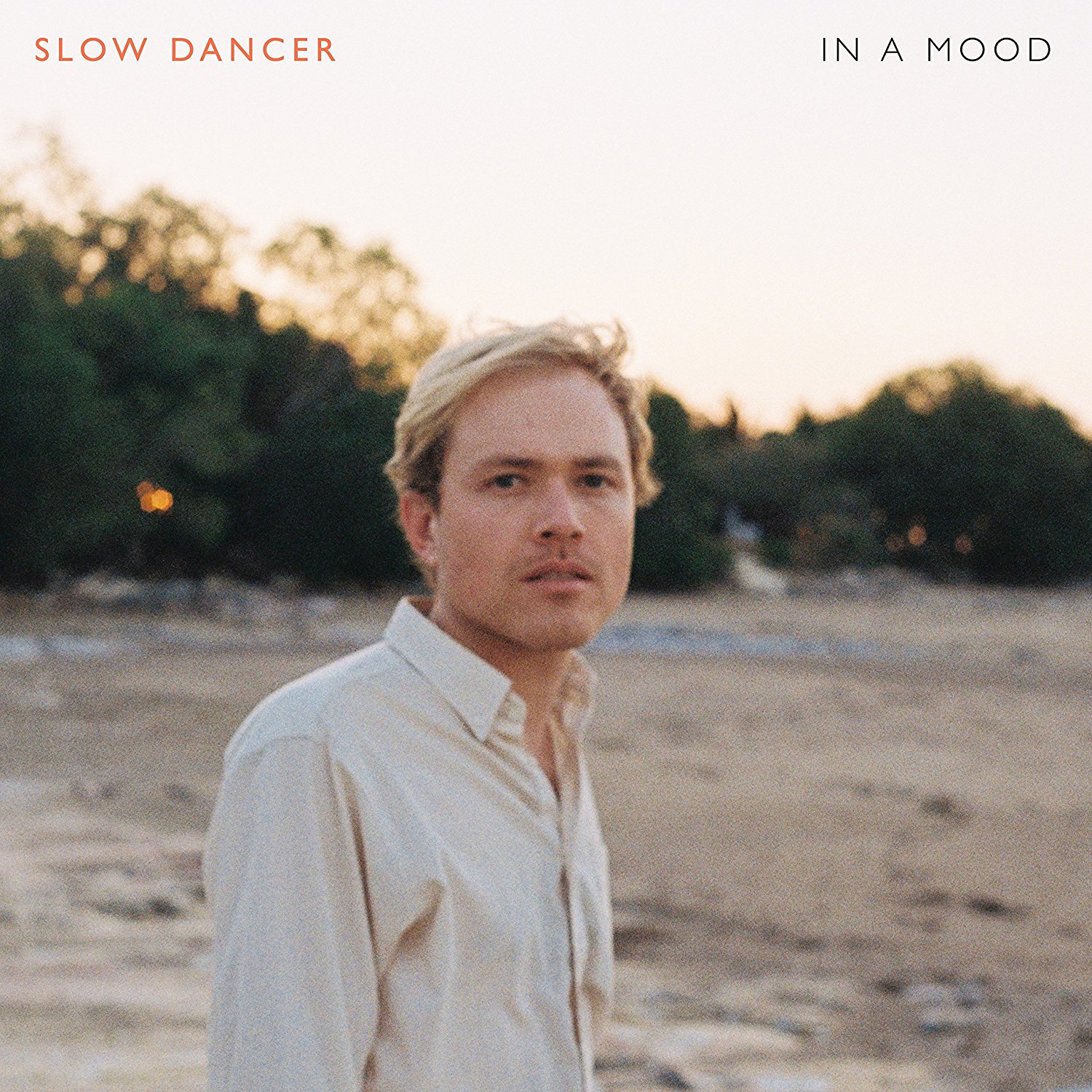 Slow Dancer - In A Mood (2017) [Bandcamp FLAC 24bit/44,1kHz]