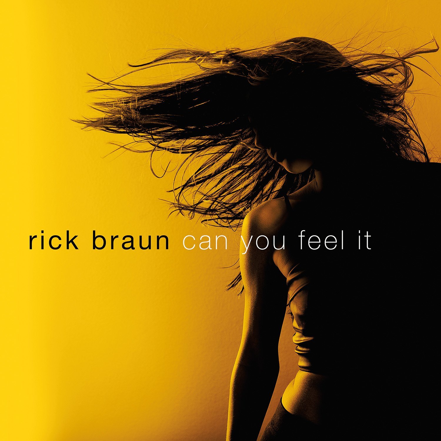 Rick Braun - Can You Feel It (2014) [HDTracks FLAC 24bit/44,1kHz]