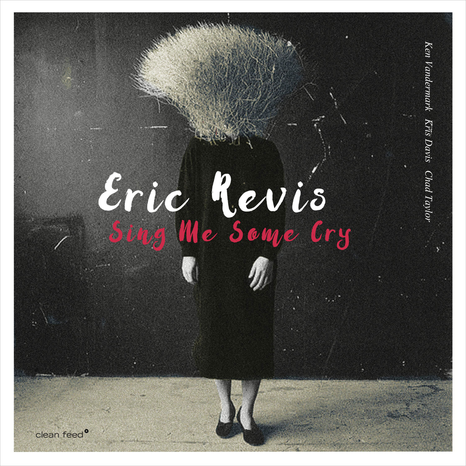 Eric Revis - Sing Me Some Cry (2017) [HDTracks FLAC 24bit/96kHz]