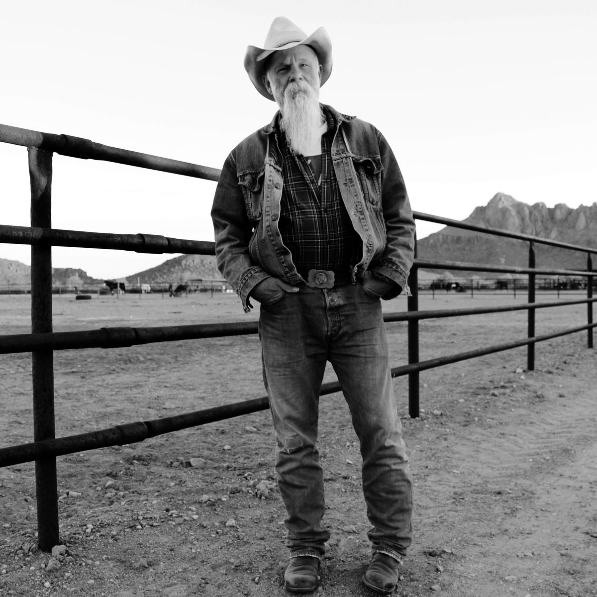 Seasick Steve – Keepin’ The Horse Between Me And The Ground (2016) [Qobuz FLAC 24bit/44,1kHz]