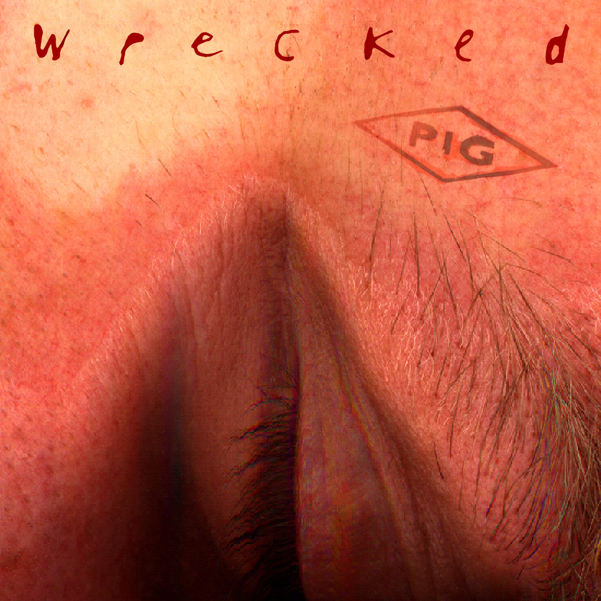 PIG - Wrecked (1996/2017) [Bandcamp FLAC 24bit/44,1kHz]