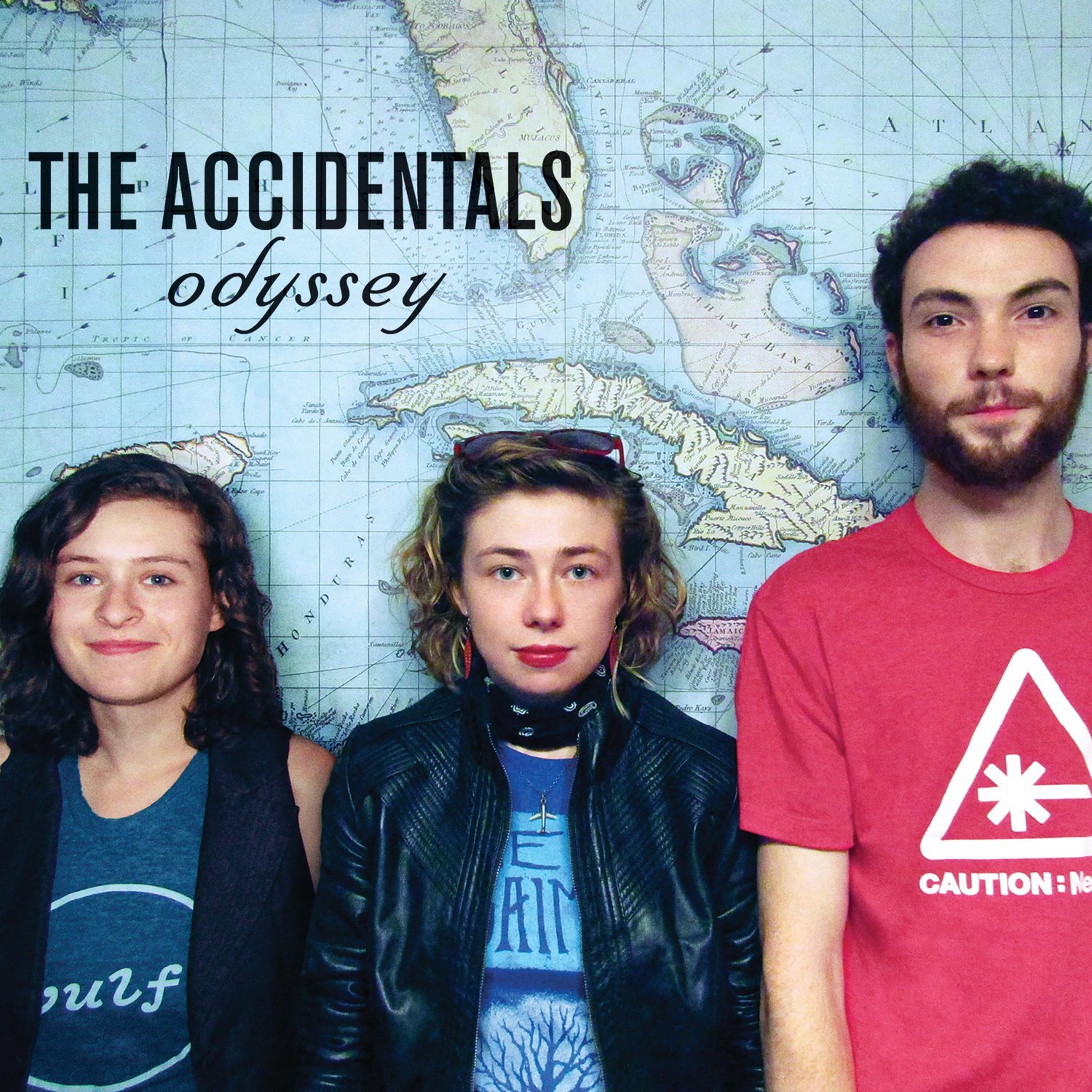 The Accidentals - Odyssey (2017) [Qobuz FLAC 24bit/48kHz]