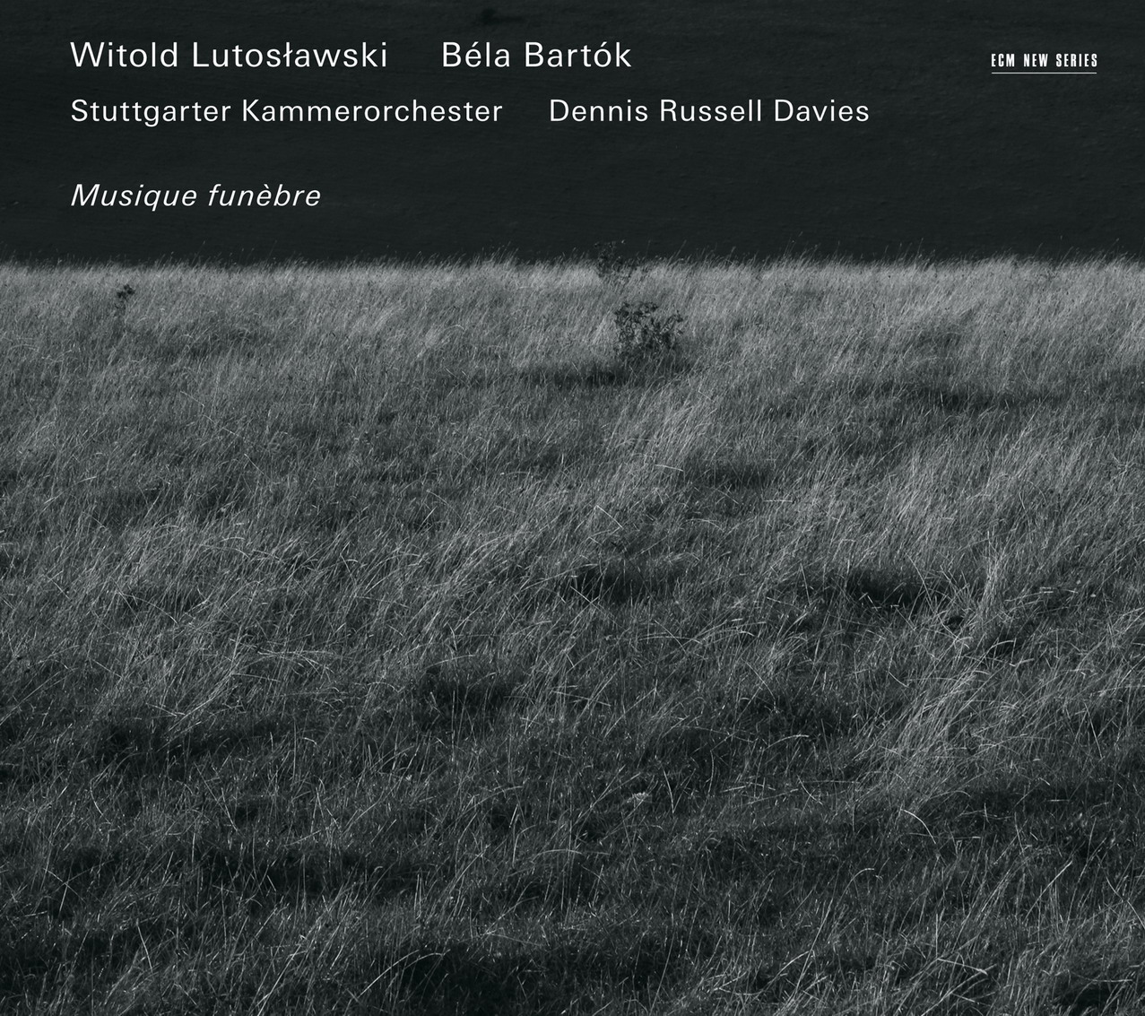 Stuttgarter Kammerorchester & Dennis Russell Davies - Lutoslawski / Bartok: Musique Funebre (2012) [HighResAudio FLAC 24bit/44,1kHz]