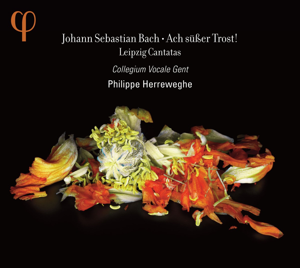 Johann Sebastian Bach - Ach Susser Trost! Leipzig Cantatas - Collegium Vocale Gent, Philippe Herreweghe (2012) [Qobuz FLAC 24bit/88,2kHz]