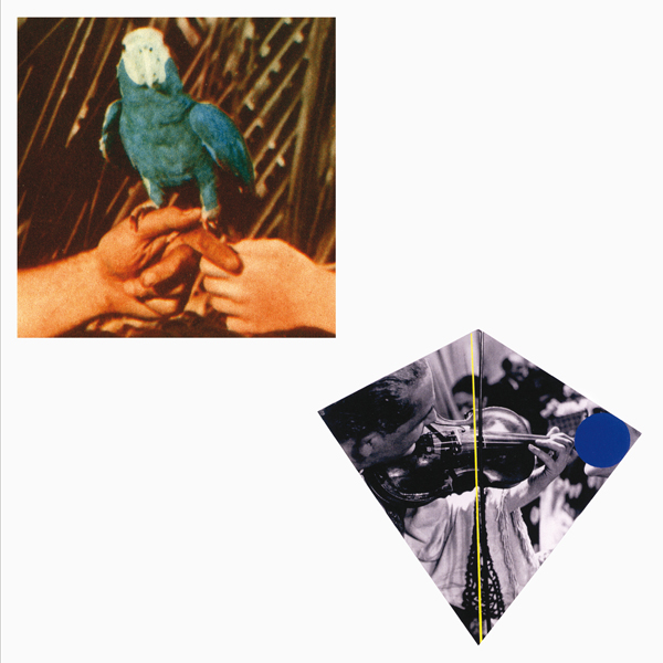 Andrew Bird - Are You Serious (Deluxe Edition) (2016) [Qobuz FLAC 24bit/96kHz]