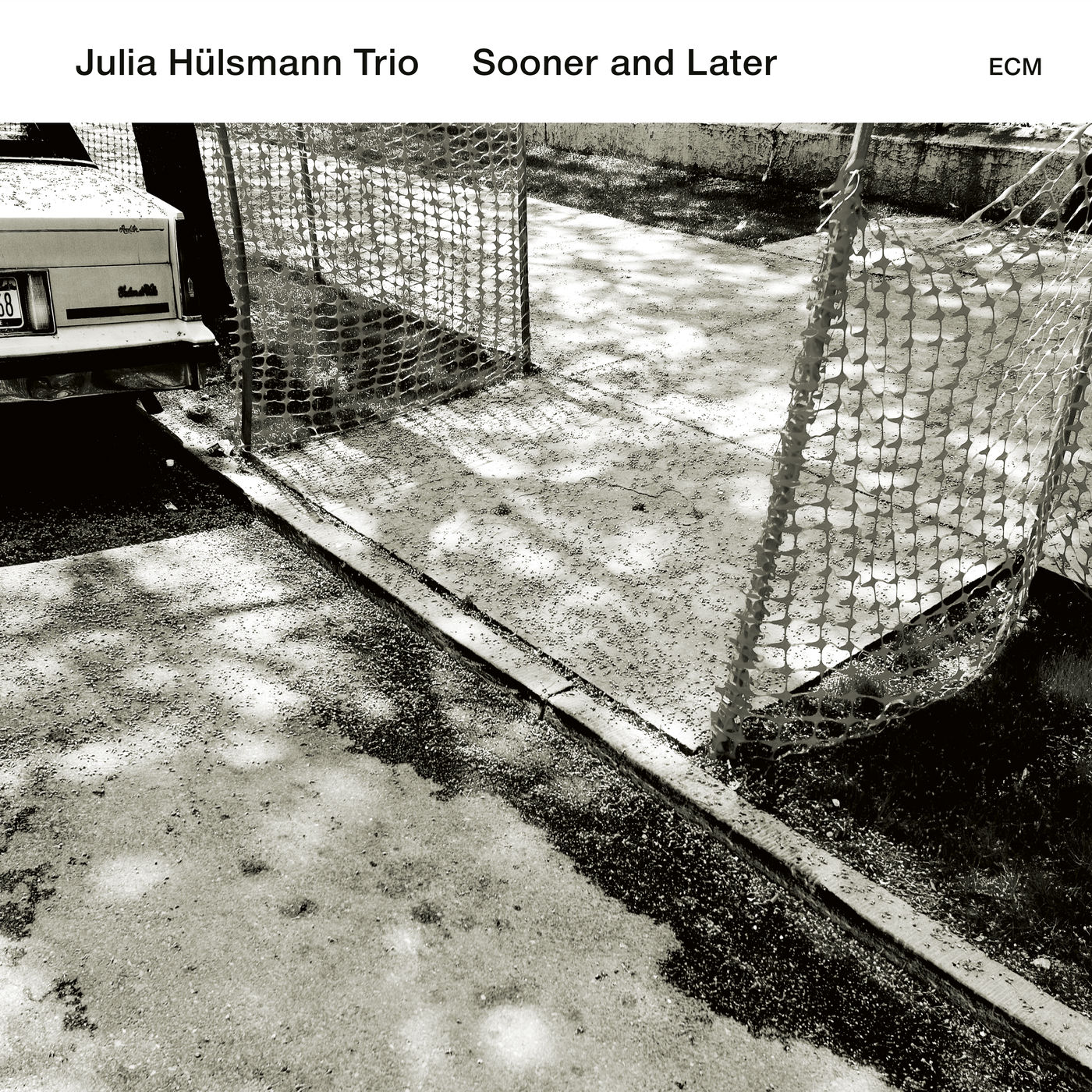 Julia Hulsmann Trio - Sooner And Later (2017) [Qobuz FLAC 24bit/96kHz]